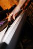 _MG_0033.jpg